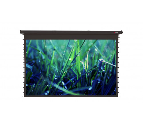 Моторизированный потолочный экран ViewScreen Regal (4:3) 613*488 (597*448) PW, black casing (с пультом)