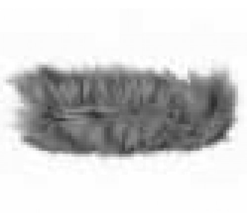Студийные микрофон Sennheiser MZH 70-1